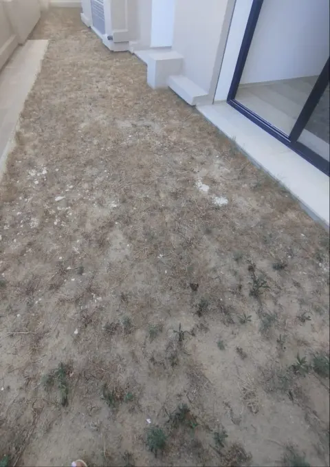 Magnifique Appartement S+2 Neuf — photo 2